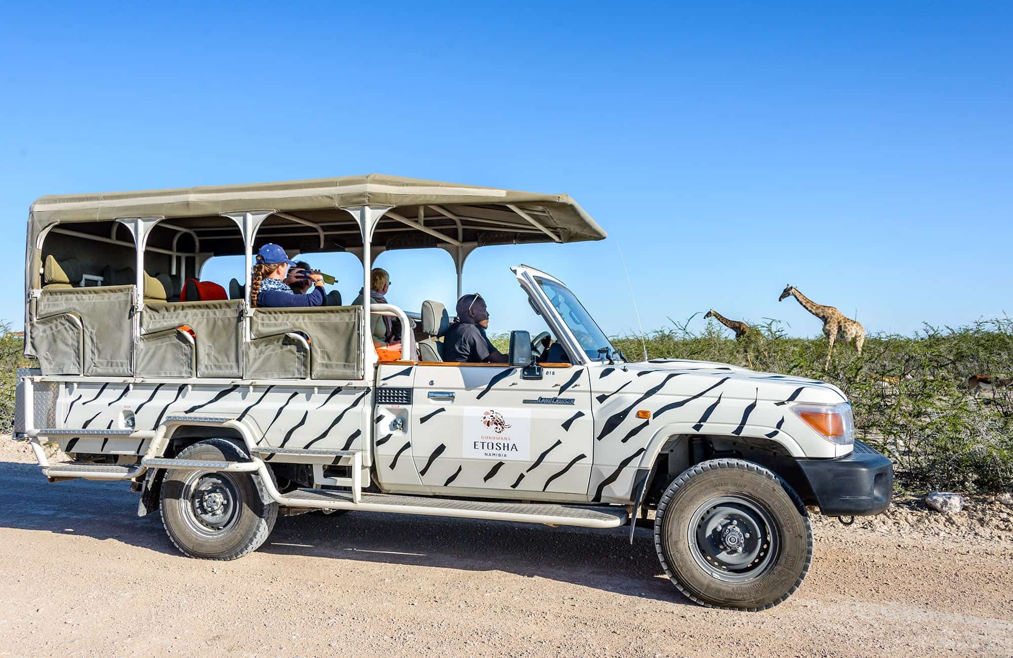 Etosha Experience  (2)
